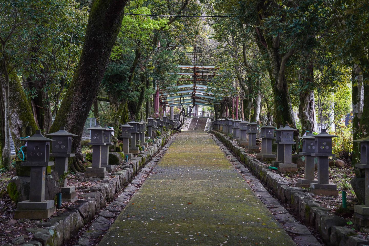 灯籠の並ぶ参道