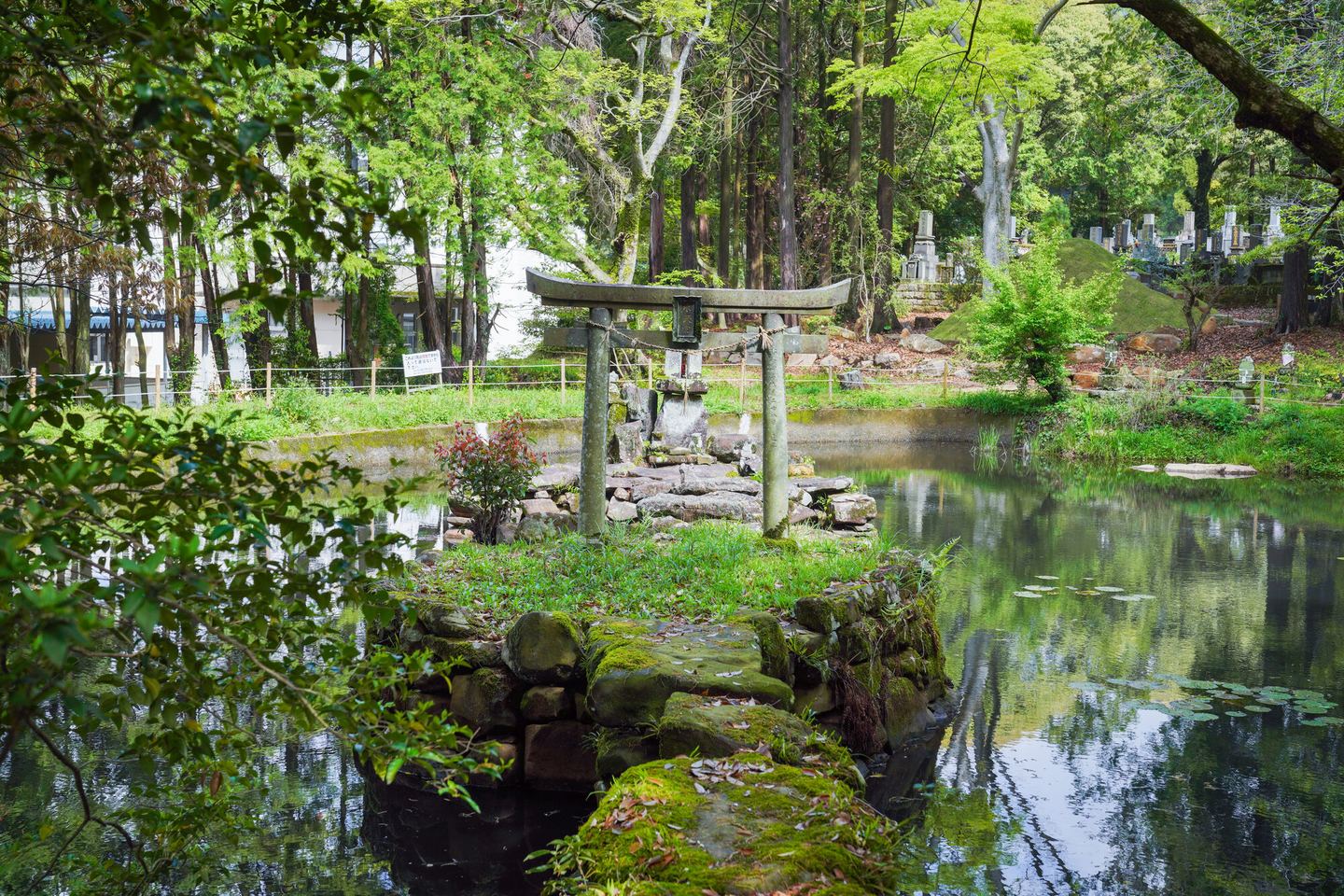 池に浮かぶ水天宮